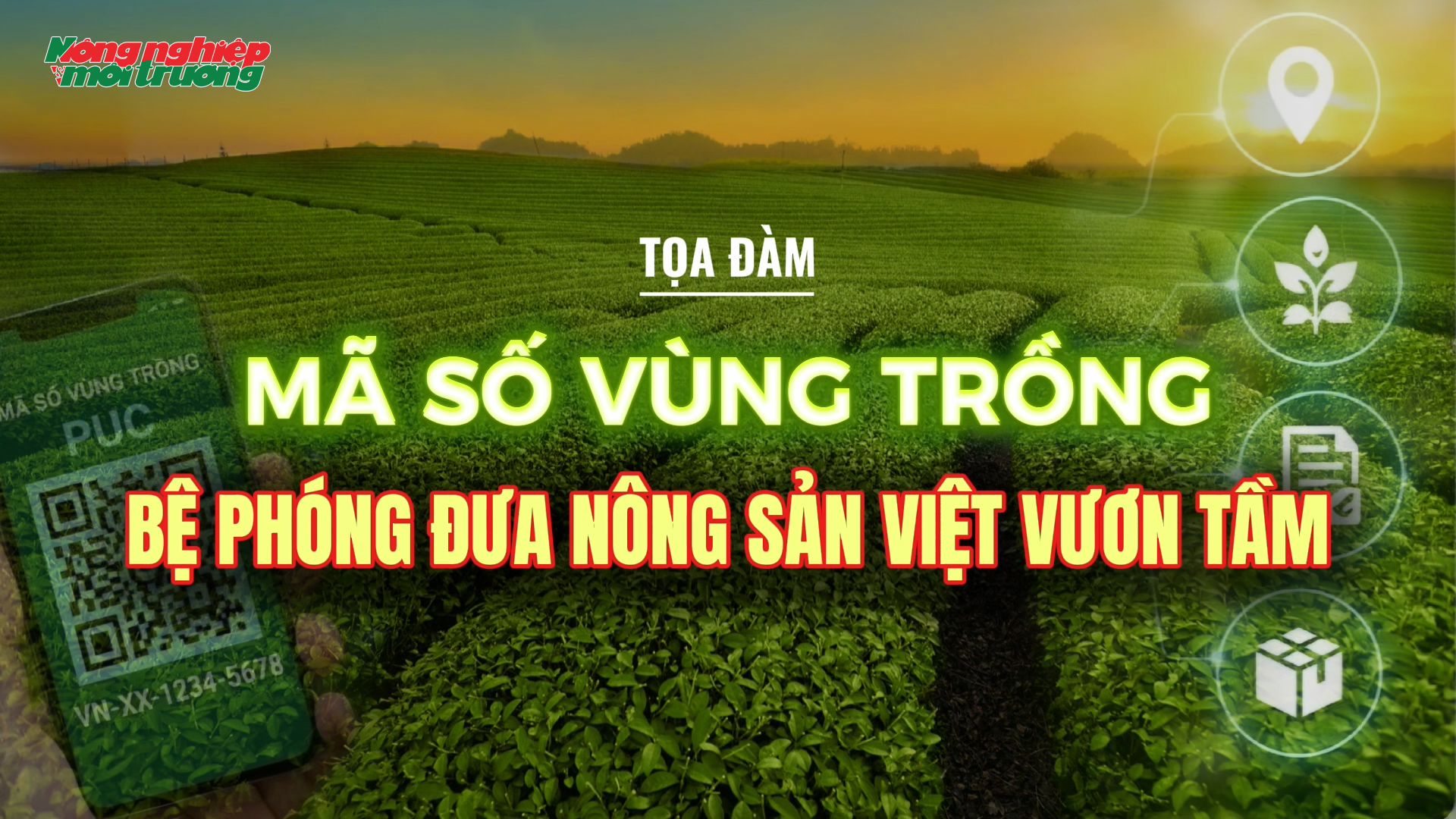 Tọa đàm: Mã số vùng trồng - Bệ phóng đưa nông sản Việt vươn tầm